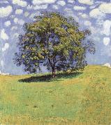 Ferdinand Hodler The nut tree oil on canvas